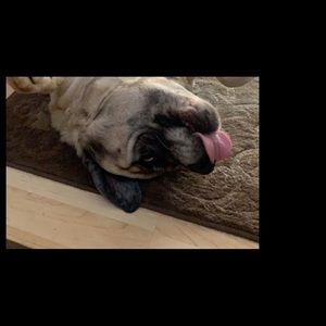 Meet your Posher, Jacquelyn